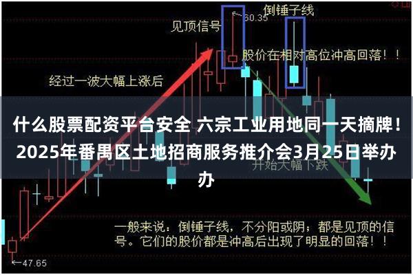什么股票配资平台安全 六宗工业用地同一天摘牌！2025年番禺区土地招商服务推介会3月25日举办