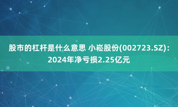 股市的杠杆是什么意思 小崧股份(002723.SZ)：2024年净亏损2.25亿元