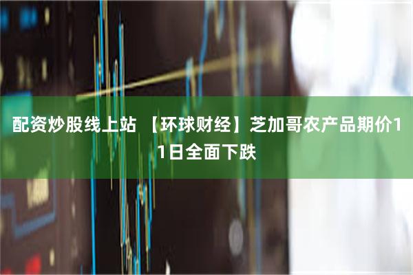 配资炒股线上站 【环球财经】芝加哥农产品期价11日全面下跌