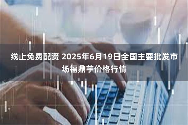 线上免费配资 2025年6月19日全国主要批发市场福鼎芋价格行情