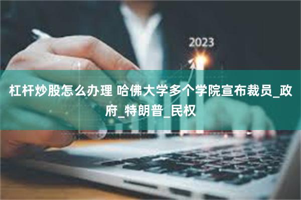 杠杆炒股怎么办理 哈佛大学多个学院宣布裁员_政府_特朗普_民权