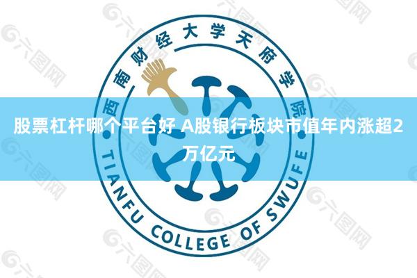 股票杠杆哪个平台好 A股银行板块市值年内涨超2万亿元